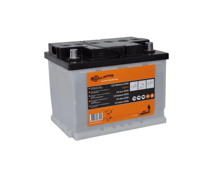 Gallagherova baterie 12V / 65Ah LA - 242x175x190 mm main product photo