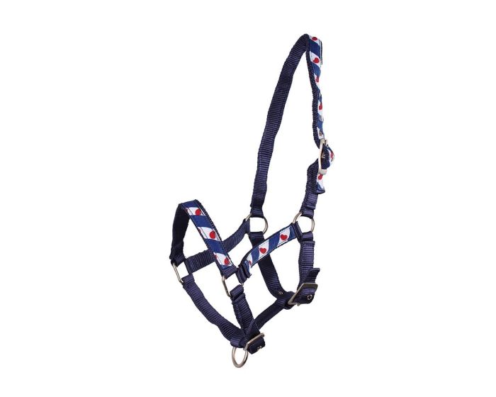 QHP Fríské Halster bez podšívky hříbě main product photo