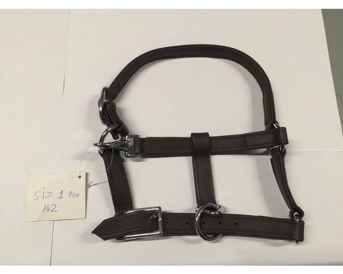 Leather Halter Brown Foal main product photo