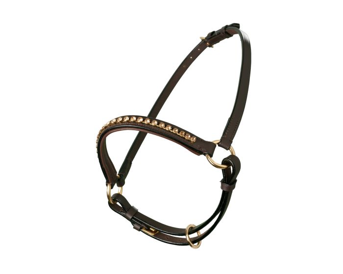 MHS Show Halter Mon Cherie Brown/Pink Mini main product photo