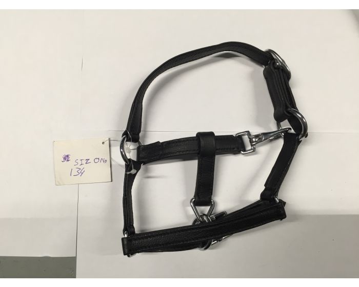 Halter Wyn Black Baby main product photo