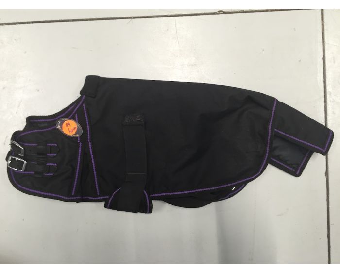 Foal Rug with Belly flap 60cm main product photo