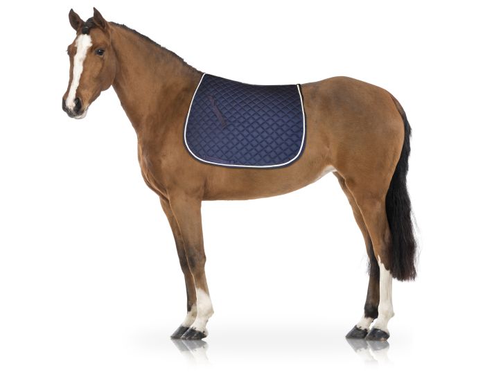 Sectolin Chetaime Sedlo Pad Mistral - Univerzální / Jumping main product photo