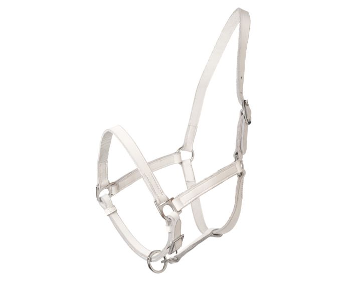 HB White Leather Halter Shetland main product photo