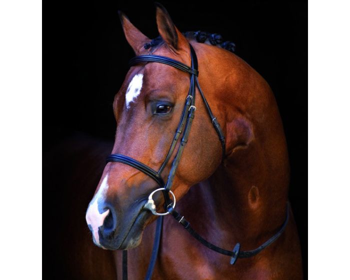 Horseware Mio Bridle main product photo