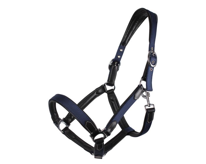 QHP Halter combi main product photo