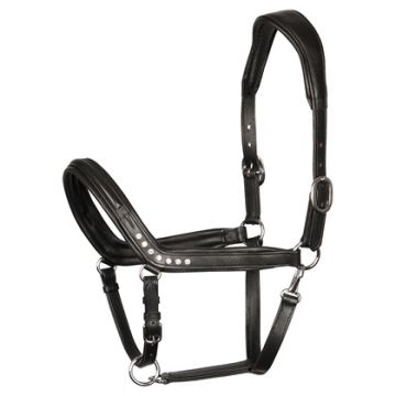 Harry's Horse Halterová kůže Crystal anatomická