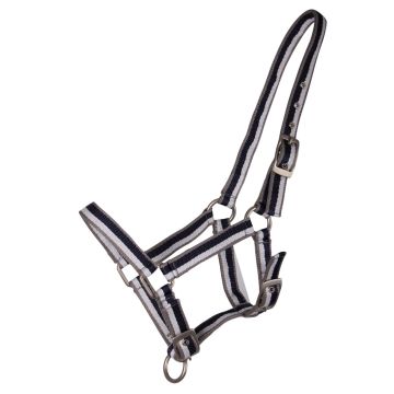 QHP Foal Halter Stripe