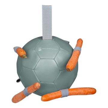 Waldhausen Mrkvová koule