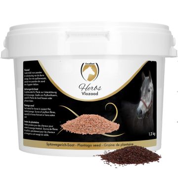 Excellent Byliny Bleší semeno (Psyllium Seed)