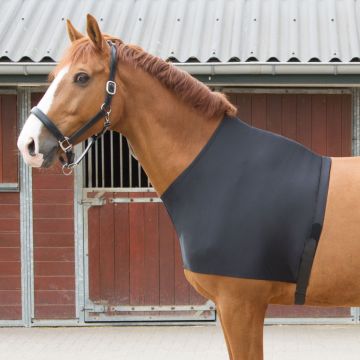 Harry's Horse Chránič hrudníku lycra