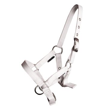 horka ZÁKLADNÍ HALTER Hříbě