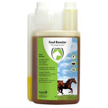 Excellent Feed Booster Horse