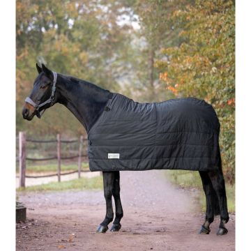 Waldhausen EKONOMICKÝ termopodložka, 200 g