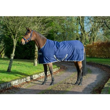 Bucas Freedom Stable 300 191 Námořnictvo