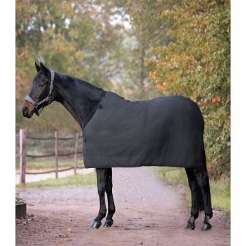 Waldhausen EKONOMICKÝ fleece pod dekou