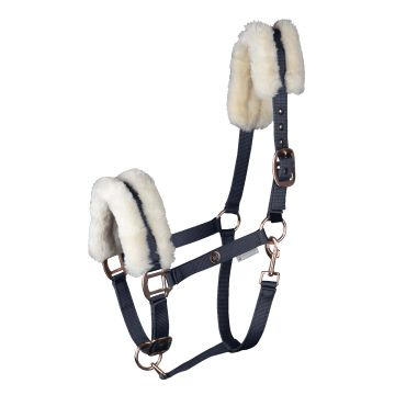 Waldhausen Halter Modern Rosé